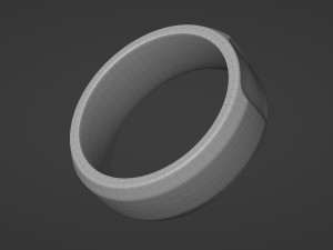 tumbled slice ring 3D Model