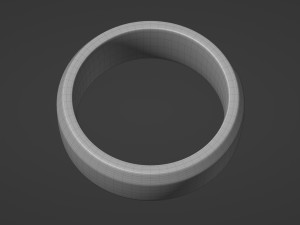 tumbled slice ring 3D Model