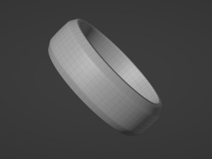 tumbled slice ring 3D Model