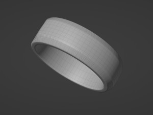 tumbled slice ring 3D Model