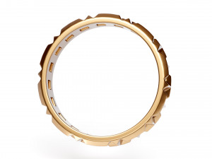 true ring Model 3D