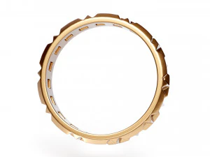 真実の指輪 3Dモデル