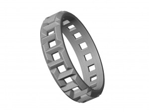 true ring Model 3D