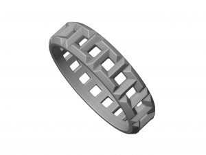 true ring Model 3D