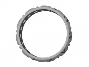 真実の指輪 3Dモデル