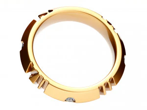 atlas x ring 3D Model