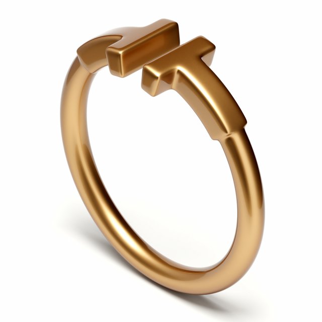 wire ring 3Dモデル .c4d .max .obj .3ds .fbx .stl .blend 