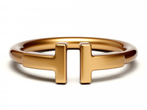 wire ring 3Dモデル