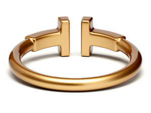 wire ring 3Dモデル