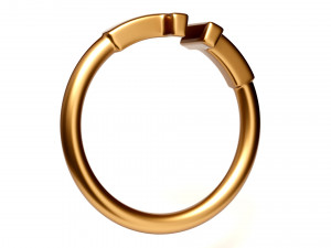 wire ring 3Dモデル