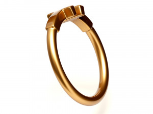 wire ring 3Dモデル
