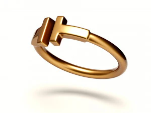 wire ring 3D Model