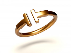 wire ring 3Dモデル