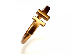 wire ring 3D Model