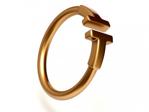 wire ring 3Dモデル