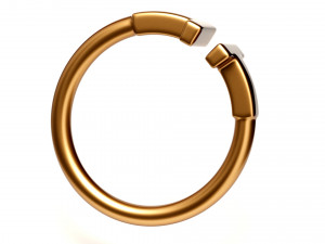 wire ring 3Dモデル