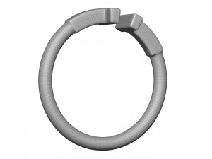 wire ring 3Dモデル