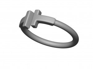 wire ring 3Dモデル