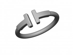 wire ring 3Dモデル