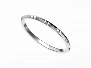 pierścień zespołu Model 3D