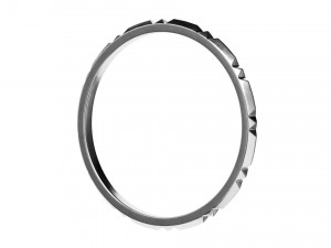 band ring 3D 모델