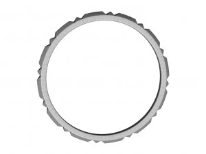 pierścień zespołu Model 3D