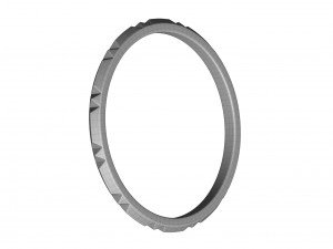 band ring 3D 모델