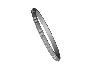 band ring 3D 모델
