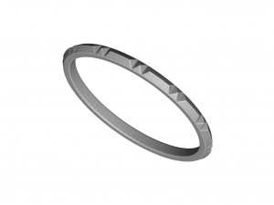 band ring 3D 모델