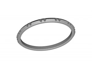 pierścień zespołu Model 3D