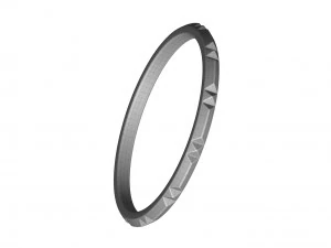 pierścień zespołu Model 3D