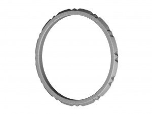 band ring 3D 모델
