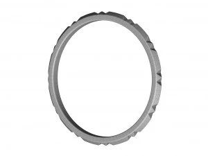 pierścień zespołu Model 3D