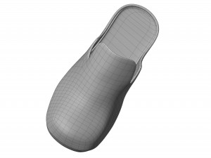 rubber flash clogs 3Dモデル