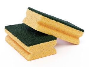 Dish Sponge 3D Model