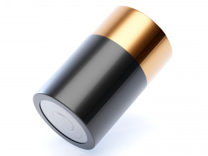 Battery Type D 3D 模型
