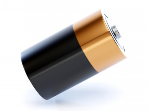 Battery Type D 3D 模型