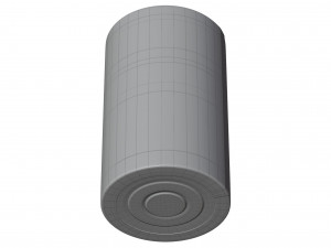 Battery Type D 3D 模型