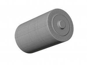Battery Type D 3D 模型