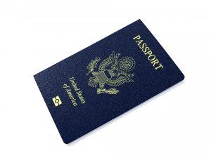 Паспорт 3D Модель