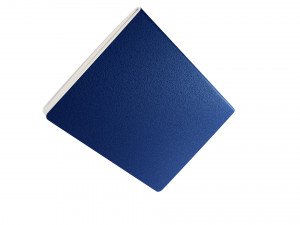 Passport Model 3D