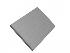 Passport Model 3D