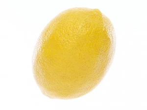 Lemon 3D Model