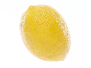 Lemon 3D Model
