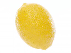 Lemon 3Dモデル