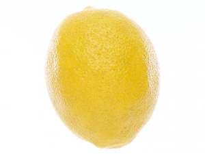 Lemon 3D Model