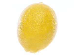 Lemon 3D Model