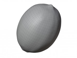 Lemon 3Dモデル