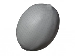 Lemon 3D Model
