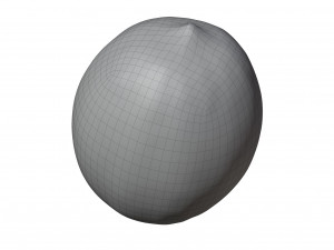 Lemon 3Dモデル